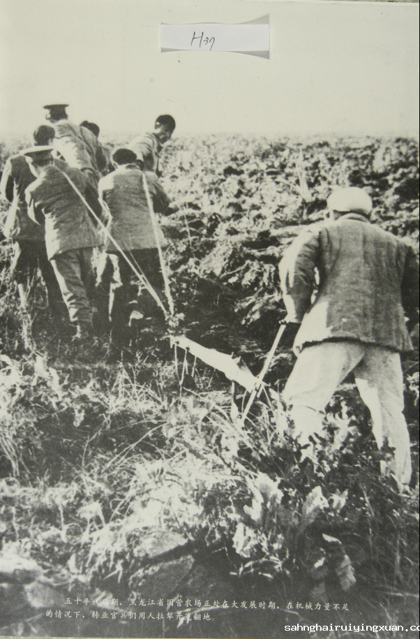 11、转业官兵用人拉犁开荒翻地  DA.png