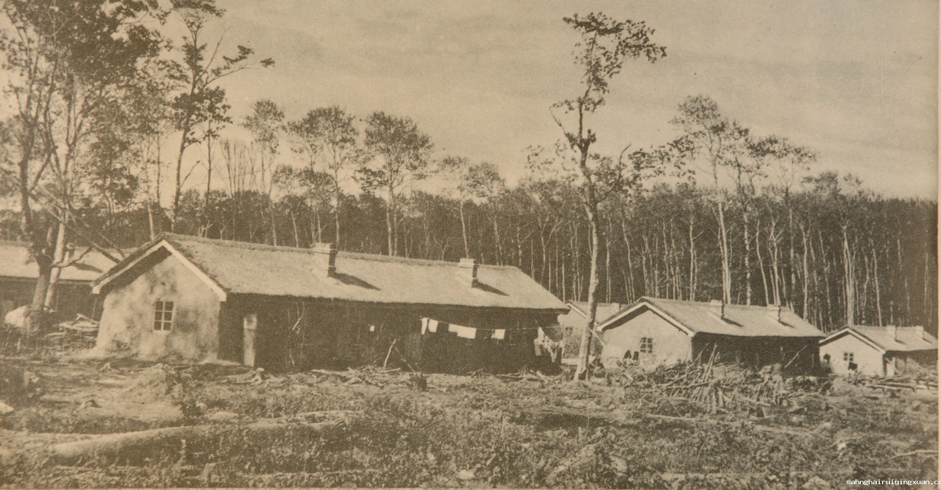 20、一座座新的村庄出现在完达山的原始森林里  DA.JPG