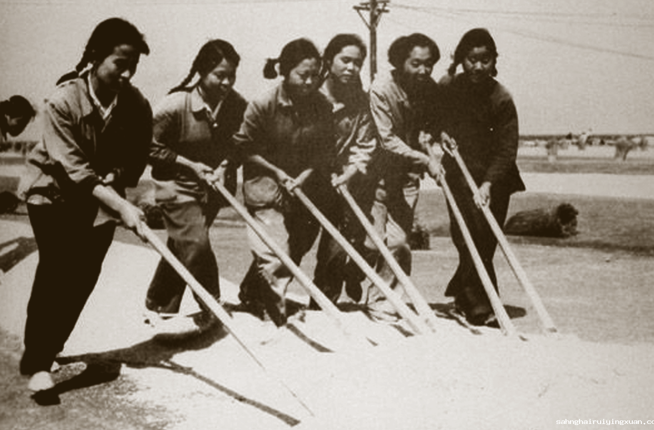 28、   兵团战士在晒麦劳动.png