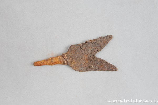 205879837917.jpg 205879837917.jpg